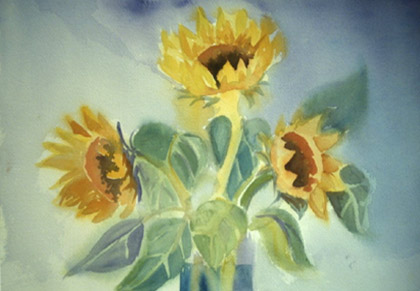 Sunflowers
