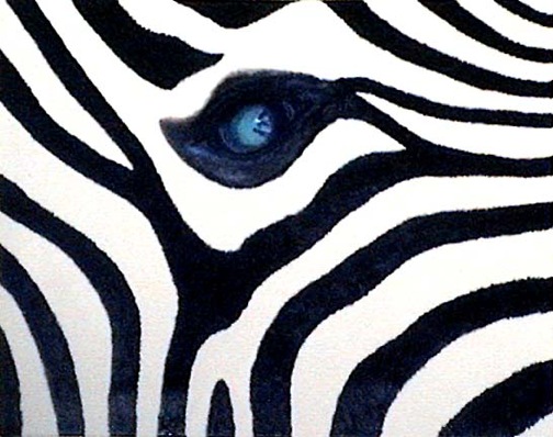 Zebra's Eye Reflection