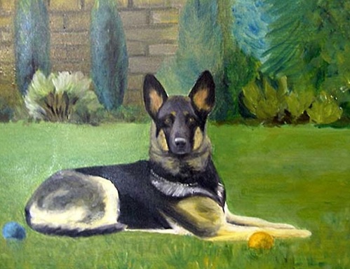 German Shephard