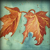 Fall Leaves